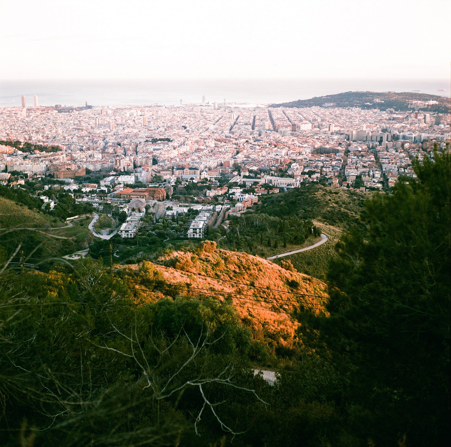 Lucky Color C200 Formato 120